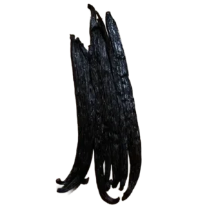 Type A vanilla