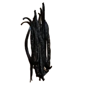 Type B vanilla